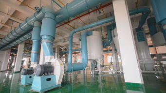 长城专访丨蛙牌 为宠物带去健康，为宠物主人带来安心——专访蛙牌软件开发团队